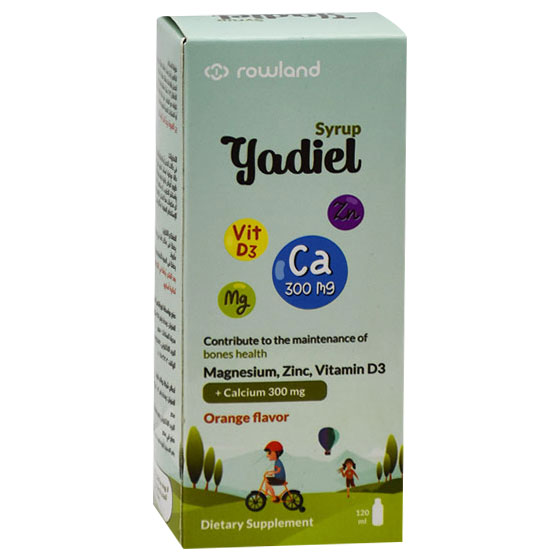 Yadiel Orange Flavor 120ml Syrup