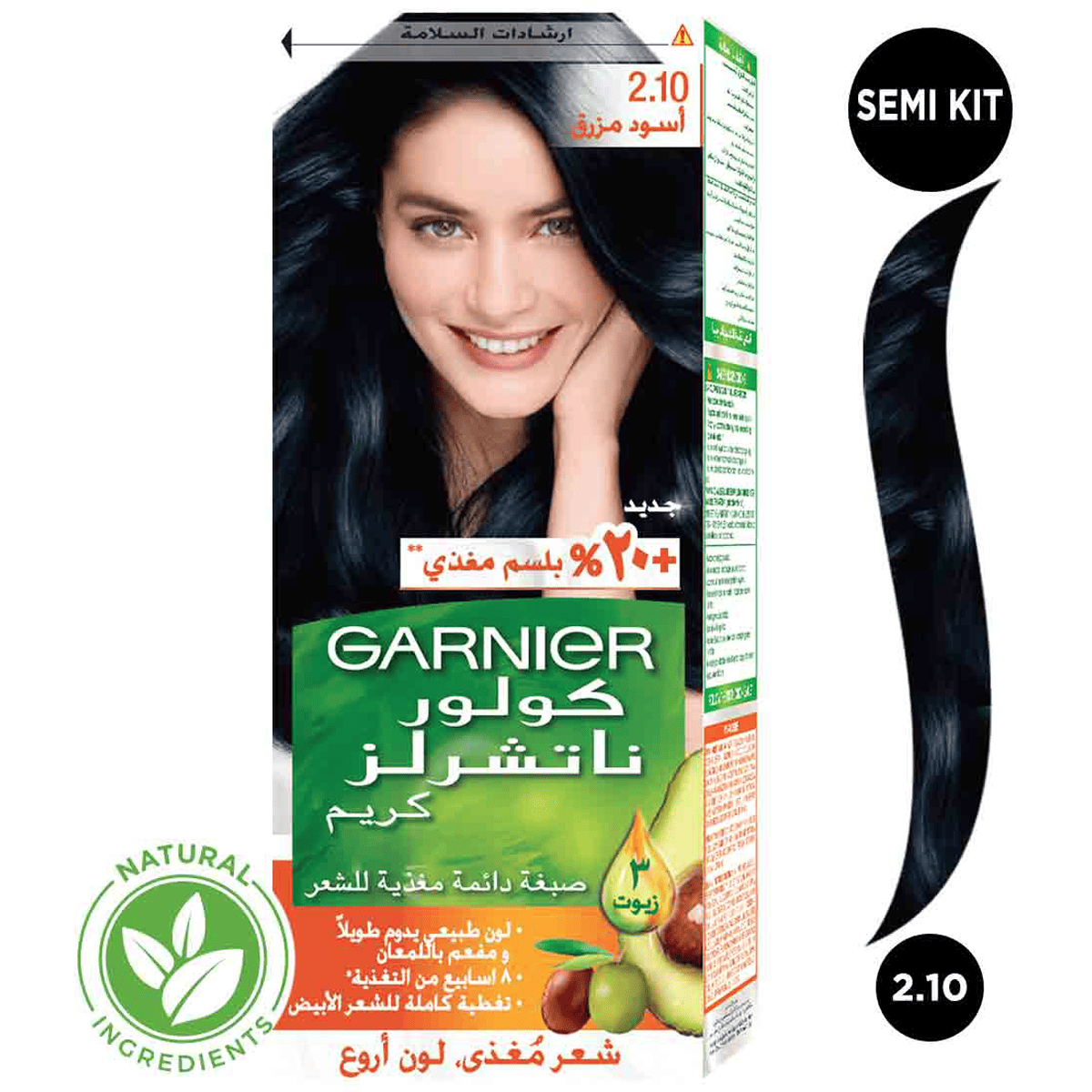 Garnier Hair Color Cream Blue Black N/2.10