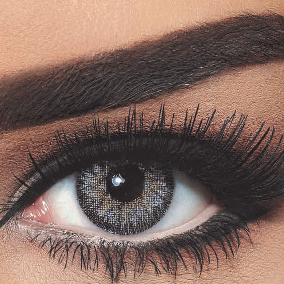 Bella Contour Color Lenses Gray
