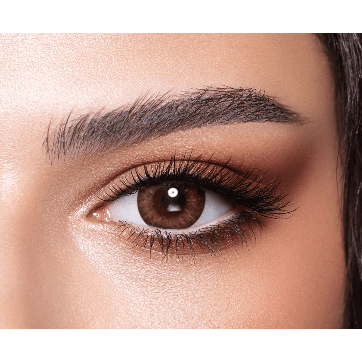Bella One Day Color Contact Lenses Almond Brown
