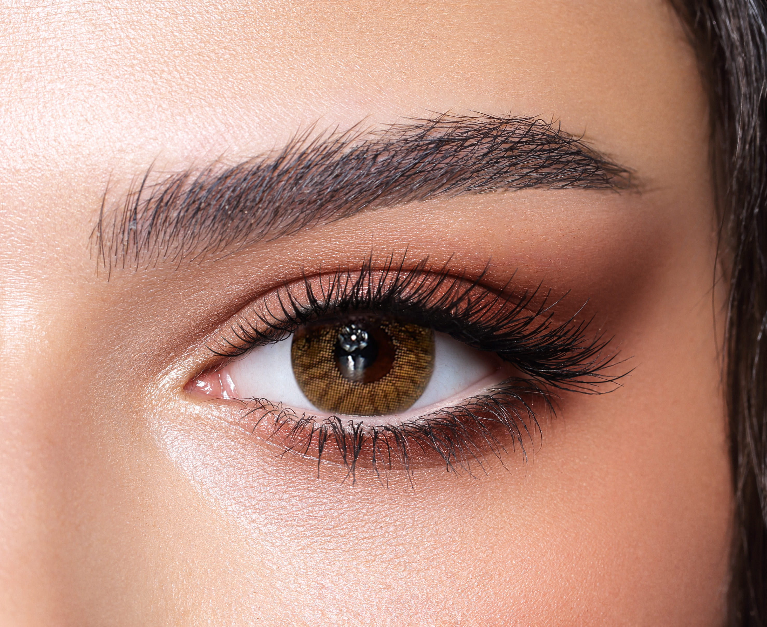 Bella One Day Color Contact Lenses Radiant Hazelnut