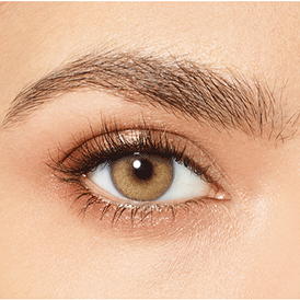 Desio Attitude 90 Day Contact Lens Delicious Honey (2Tones)