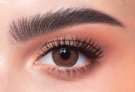 Dahab Daily Soft Contact Lenses Argan/28