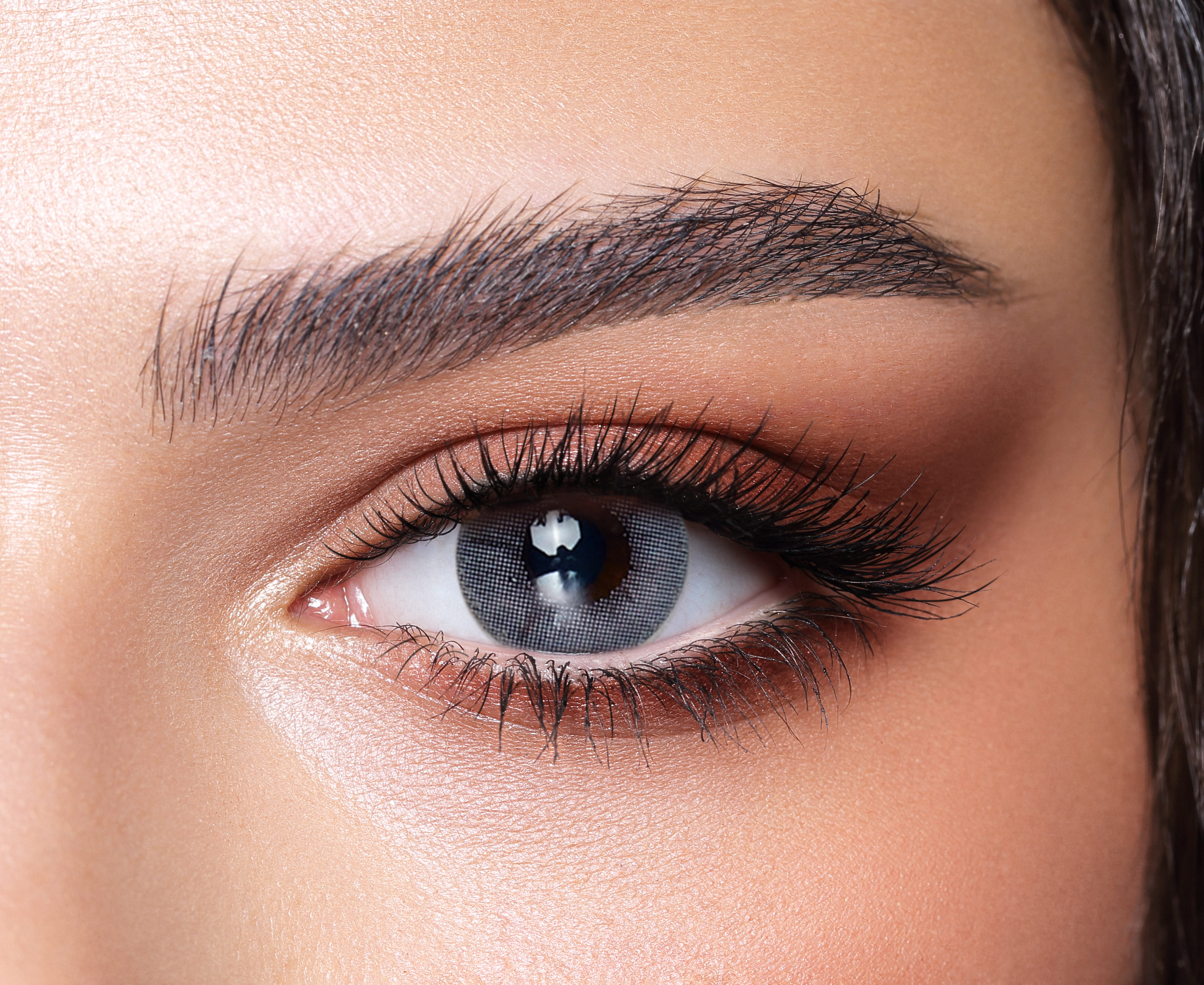 Bella One Day Color Contact Lenses Bluish Gray