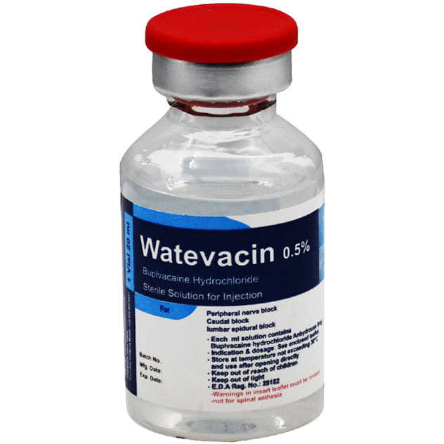 Watevacin 0.5% 20ml 1 Vial