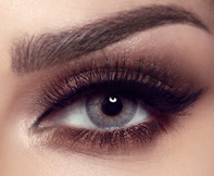 Bella Elite Color Lenses Gray Beige