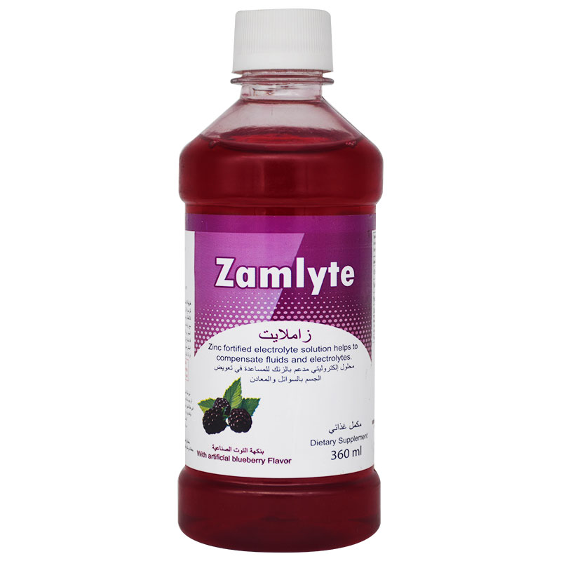 Zamlyte Blueberry Flavor Syrup 360ml