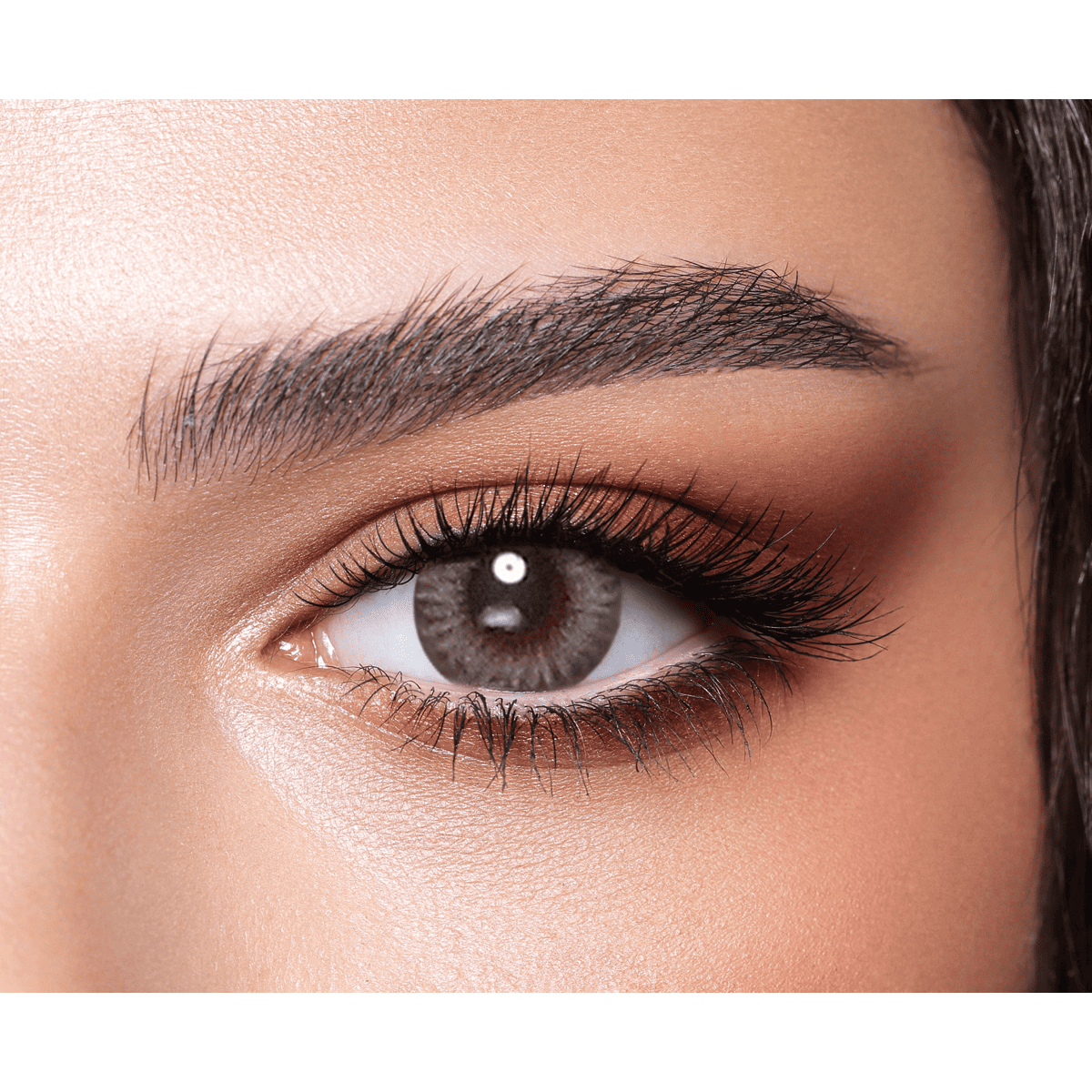 Bella One Day Color Contact Lenses Platinum Grey