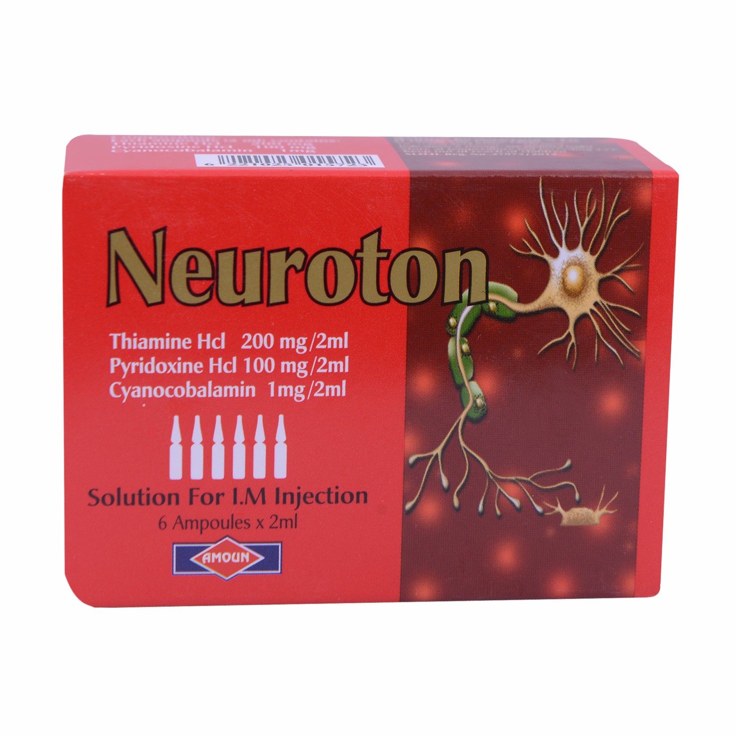 Neuroton 6 Ampoules