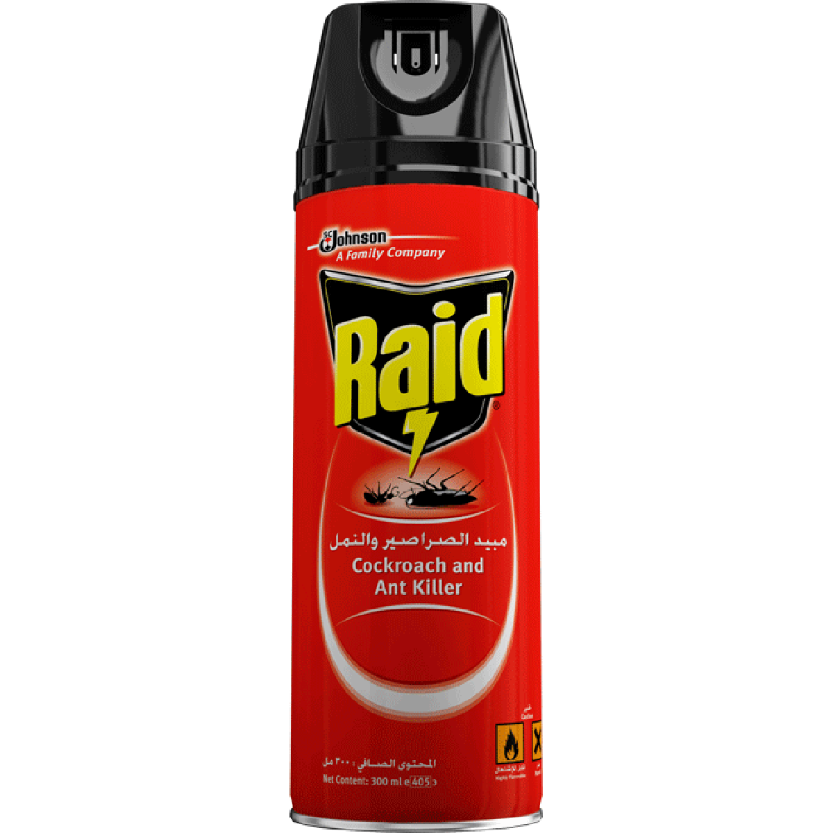 Raid Crawling Inscets Killer 300ml