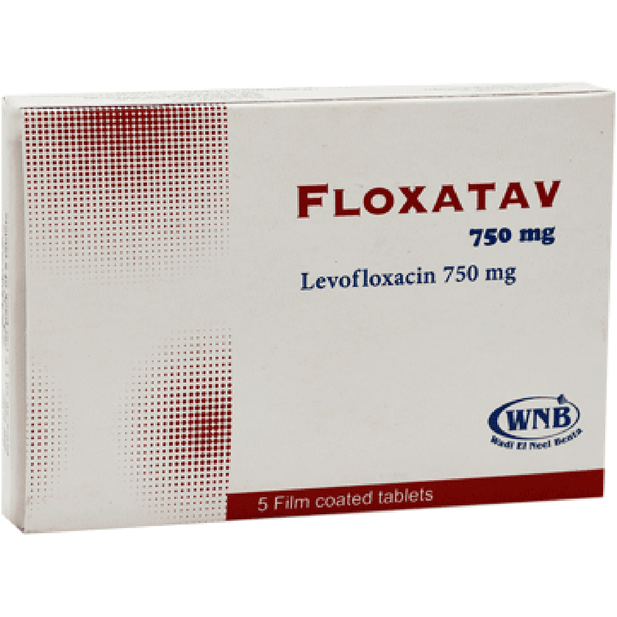 Floxatav 750mg 5 Film Coated Tablet