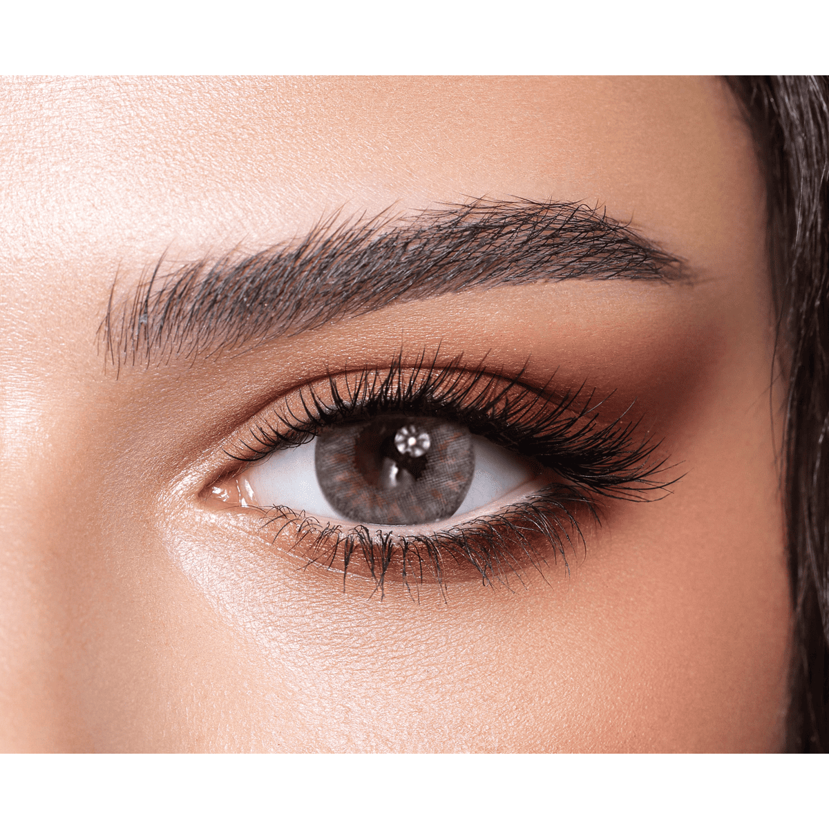 Bella One Day Color Contact Lenses Rosewood